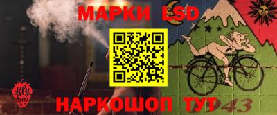 гидра Мариинск