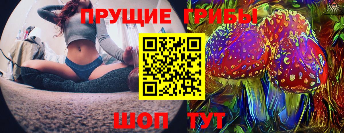Псилоцибиновые грибы GOLDEN TEACHER Гатчина